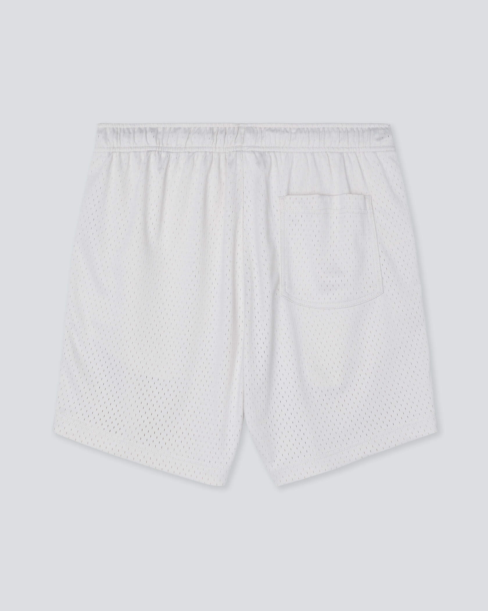 Field Day Shorts |Silver Lining| flat