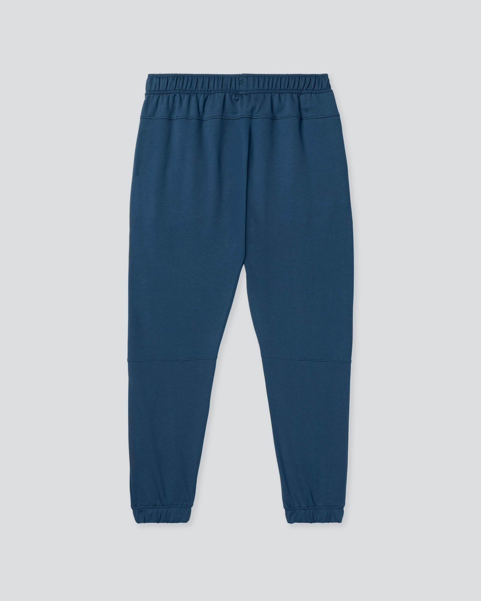 Sport Utility 2 Joggers |Blue Wing| flat