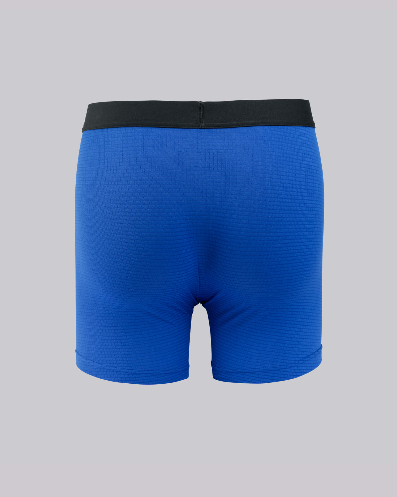 Sportcross Pro Boxer Brief |Cobalt| back